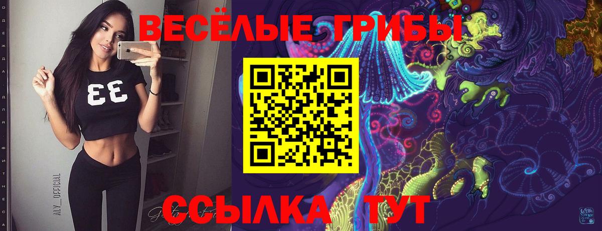 Псилоцибиновые грибы Magic Shrooms  купить наркотик  Касимов  Вход с VPN 