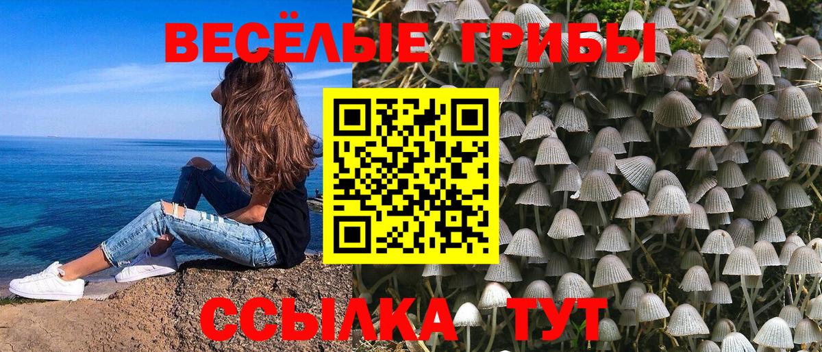 Галлюциногенные грибы MAGIC MUSHROOMS Касимов